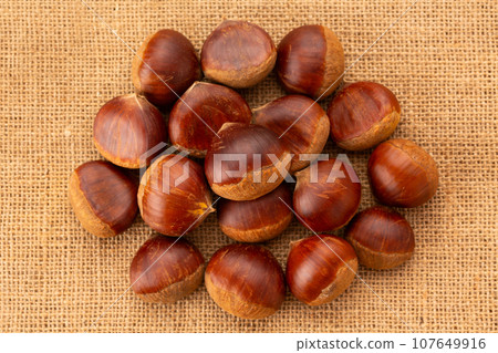 Chestnut Chestnut 107649916