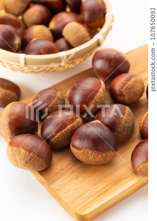 Chestnut Chestnut 107650091