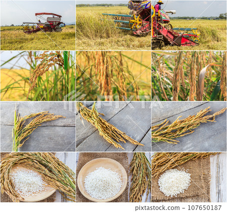 Harvester machinery 107650187