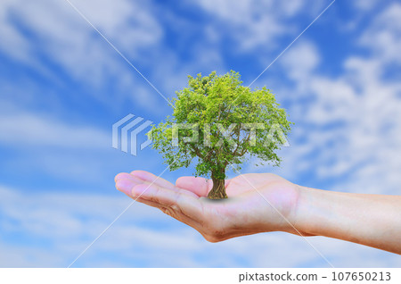 Hands holding tree with burred blue sky background. Hands holding tree with burred blue sky background. 107650213