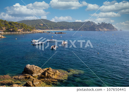 View of S'Alguer cove in Palamos, Costa Brava, Girona. Spain View of S'Alguer cove in Palamos, Costa Brava, Girona. Spain 107650441