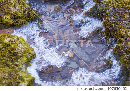 Selective focus. The Mountain stream with ice elements close-up 107650462