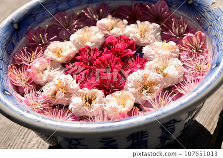 菅原天滿宮迷你梅花淨水器 107651013