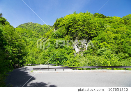 [長野縣]白骨溫泉周圍的新綠 107651220