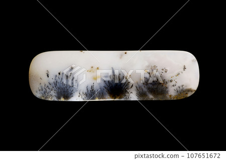 Dendritic Agate A stone that harbors landscapes 107651672