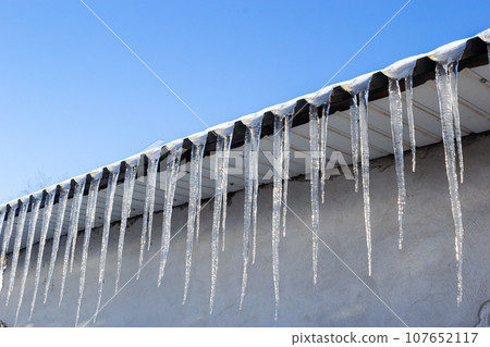 Sharp icicles and melted snow hanging from the eaves of the roof. Beautiful transparent icicles slowly gliding of a roof Sharp icicles and melted snow hanging from the eaves of the roof. Beautiful transparent icicles slowly gliding of a roof 107652117