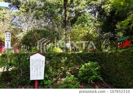 鹿兒島縣泉市 碣堀神社 鹿兒島縣泉市 碣堀神社 107652310