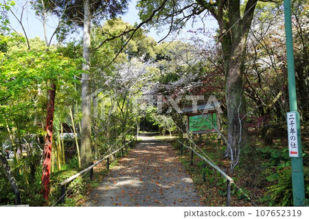 鹿兒島縣泉市 碣堀神社 鹿兒島縣泉市 碣堀神社 107652319