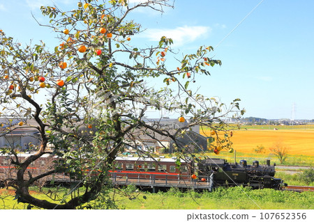 Moka Railway ``Autumn scenery of Orimoto Station'' with persimmon trees and rural scenery in the background Moka Railway ``Autumn scenery of Orimoto Station'' with persimmon trees and rural scenery in the background 107652356