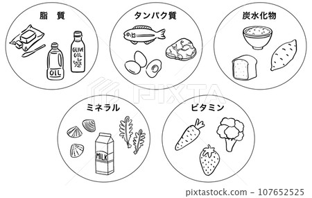 Five major nutrients food 1 color Five major nutrients food 1 color 107652525