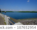 Lake scenery seen from the lakeshore 107652954