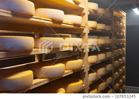 北海道美瑛乳酪工廠的乳酪儲藏室 107653245
