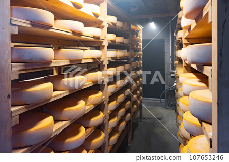 Cheese storage at a cheese factory in Biei, Hokkaido 107653246