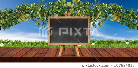 Wooden Table and Empty Blackboard with a Vineyard on Background 107654035