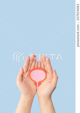 Hand holding bladder and prostate gland made from paper on blue background. Awareness of BPH, prostate cancer, bladder cancer and men health care. Urology and male reproductive concept. Vertical. Hand holding bladder and prostate gland made from paper on blue background. Awareness of BPH, prostate cancer, bladder cancer and men health care. Urology and male reproductive concept. Vertical. 107654063