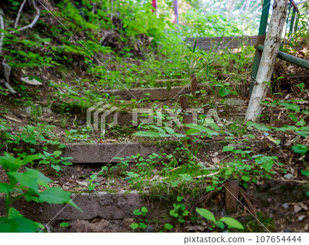 Collapsed stone steps leading to a small shrine Collapsed stone steps leading to a small shrine 107654444
