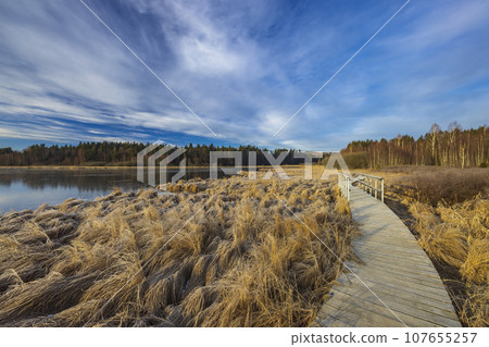 nature reserve Olsina, Sumava National Park, Czech Republic 107655257