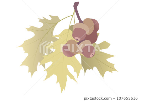 紅橡樹葉和橡實的插圖 107655616