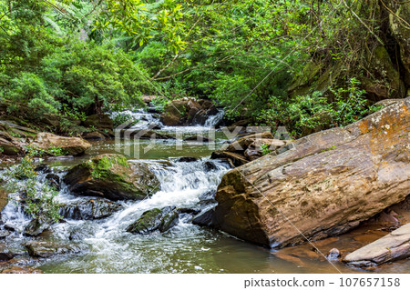 River with tree trunks and stones River with tree trunks and stones 107657158