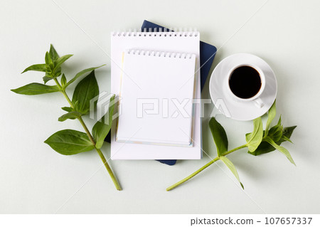 Composition with opened blank notepad, cup of black coffee, green leaves of zinnia on a gray background. Festive office desktop concept. Morning coffee cup. 107657337