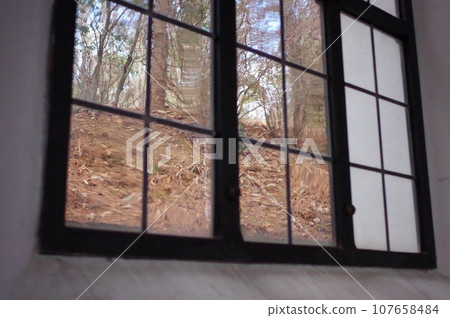 View from the window 107658484