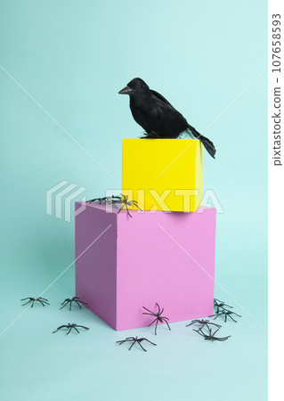 a beautiful raven taking pride of place on yellow and pink cubes  in balance 107658593