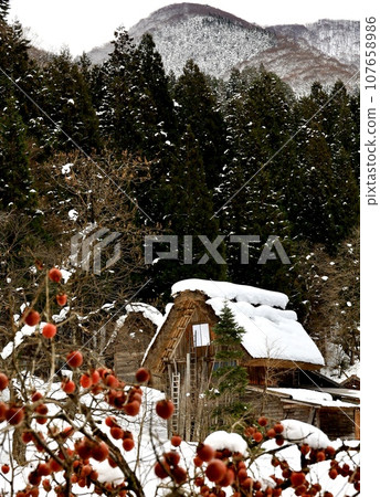 Gifu Prefecture Shirakawago Gassho-zukuri in winter, Japanese landscape 107658986