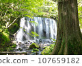 Tatsuzawa immobile waterfall in early summer 107659182