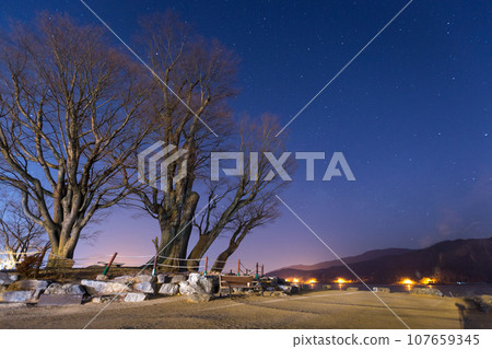 large tree in Winter in Dumulmeori, Yangpyeong, South Korea. large tree in Winter in Dumulmeori, Yangpyeong, South Korea. 107659345