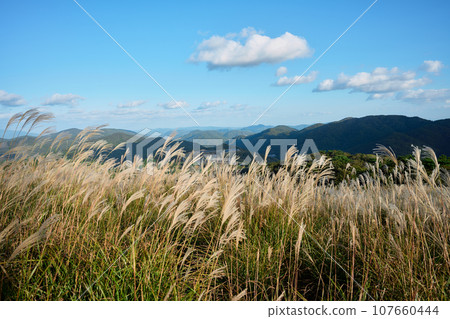 Deep mountain 107660444