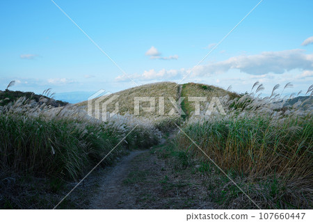 Miyama mountain trail Miyama mountain trail 107660447