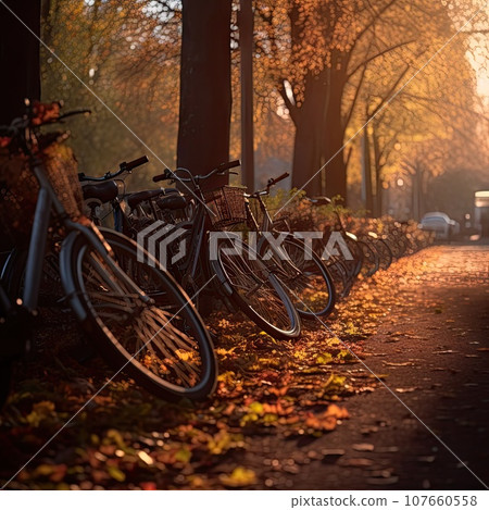 two bikes parked on the side of a road in an autumn park, with trees and leaves all around them two bikes parked on the side of a road in an autumn park, with trees and leaves all around them 107660558