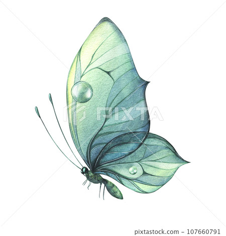 Turquoise butterfly with water drops and a pattern. Watercolor illustration. Isolated object. For decoration, design and compositions, prints, posters, postcards, stickers, souvenirs, tattoos. 107660791
