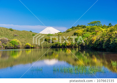（靜岡縣）從箱根岳和比池看到的富士山雪山 107661535