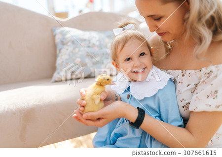 Closeup portrait of loving young mom and toddler adorable daughter in dress playing with little yellow ducklings in summer gazebo house on sunny day. Concept of excursion to eco-farm, life in village. 107661615