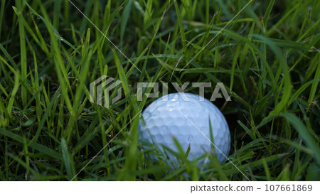 Golf ball is in the hazard area of the course. Golf ball is in the hazard area of the course. 107661869