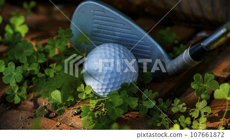 Golf balls and clubs in the obstacle zone of the course. 107661872