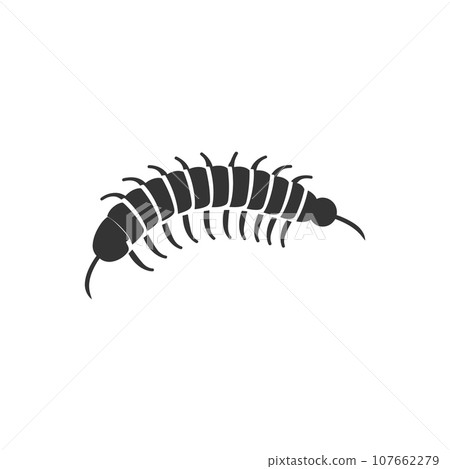 Centipede Insect icon 107662279