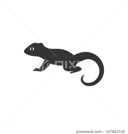 Salamander icon Salamander icon 107662338