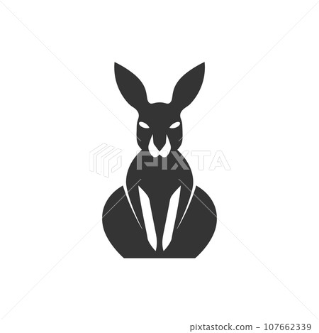 Kangaroo icon 107662339
