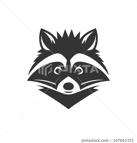 Raccoon icon 107662355