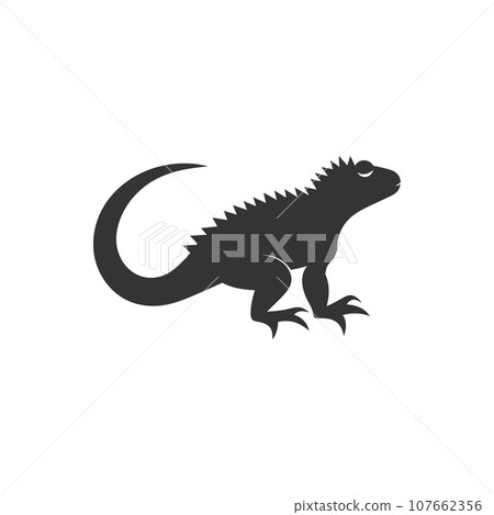 Lizard icon 107662356