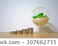 Stacked coins and green interior 107662735