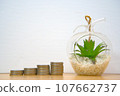 Stacked coins and green interior 107662737