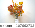 Bouquet of dried flowers in a vase 107662738