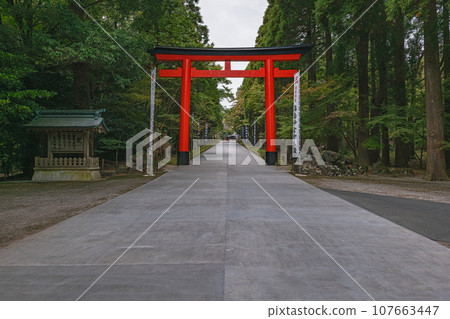 鹿兒島霧島神社第二鳥居與表參道風景 鹿兒島霧島神社第二鳥居與表參道風景 107663447