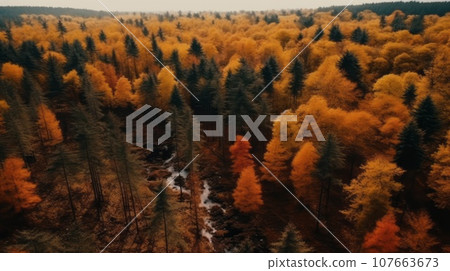 Beautiful autumn forest covered in yellow leaves on a sunny day. Bright orange fall landscape of a forest, aerial shot. Drone nature composition. Beautiful natural landscape. 107663673