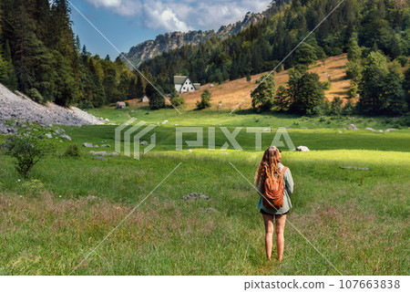 Single Woman with Backpack Walking In Mountain Valley Single Woman with Backpack Walking In Mountain Valley 107663838