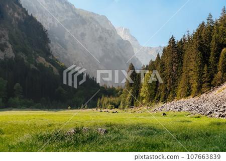 Landscape with Green Mountain Valley in Durmitor Park Landscape with Green Mountain Valley in Durmitor Park 107663839