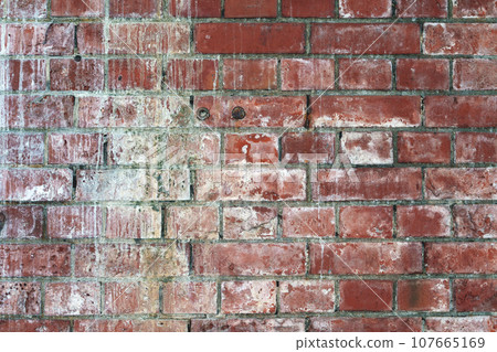 舊磚牆 107665169